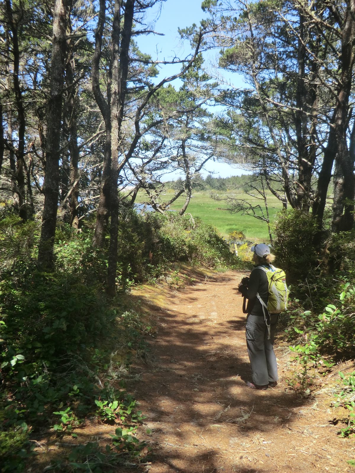 2012 May Alison on the Waxmrytle Trail