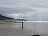 2012 May Looking South along Canon Beach