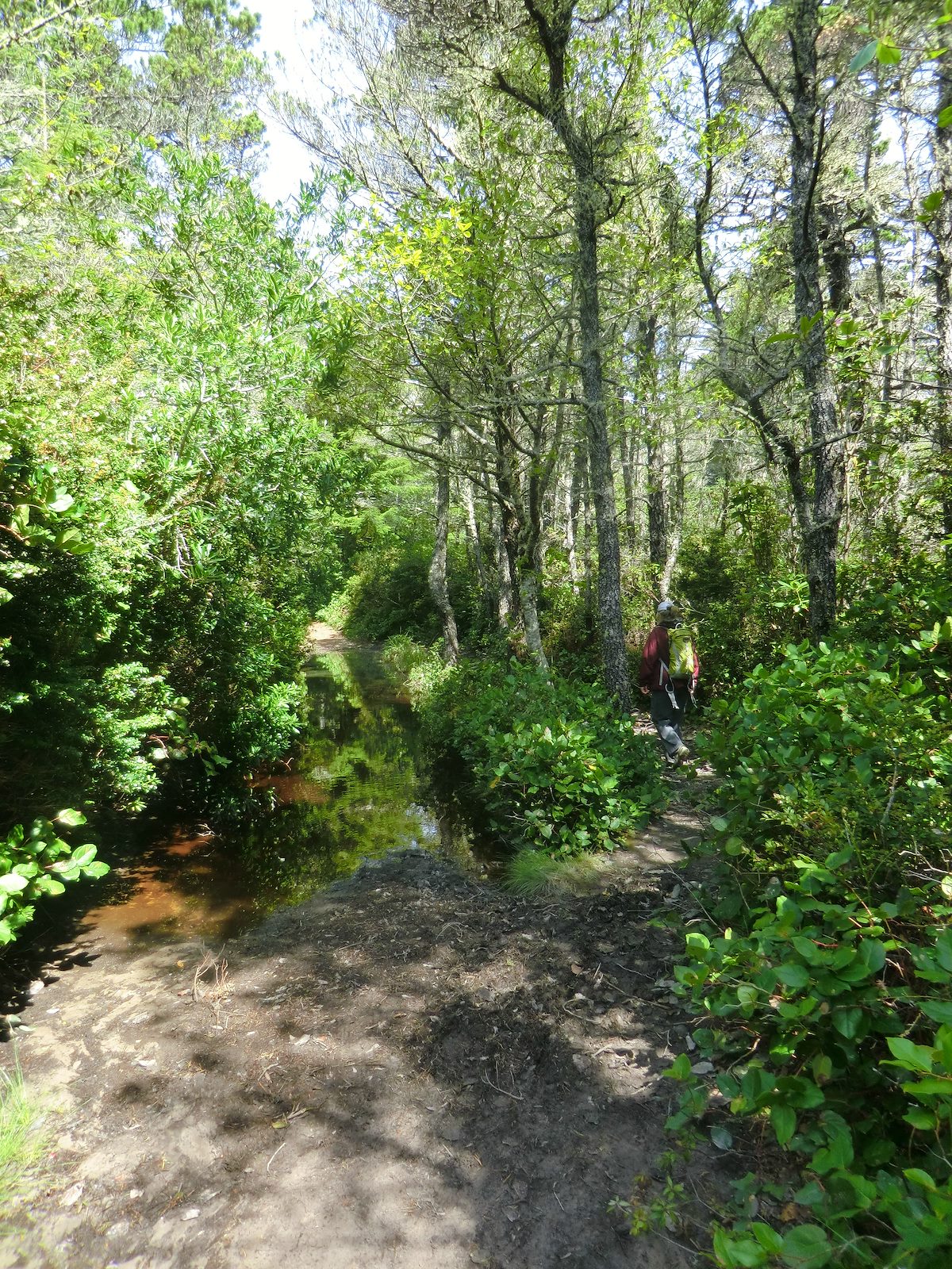 2012 May Old roadway filled with water, Alison on the bypass trail