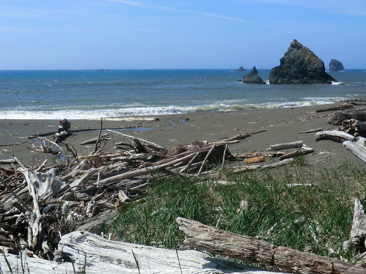 2012 May On the beach south of Blacklock Point