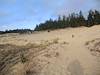 2012 May Tahkenich Dunes Trail