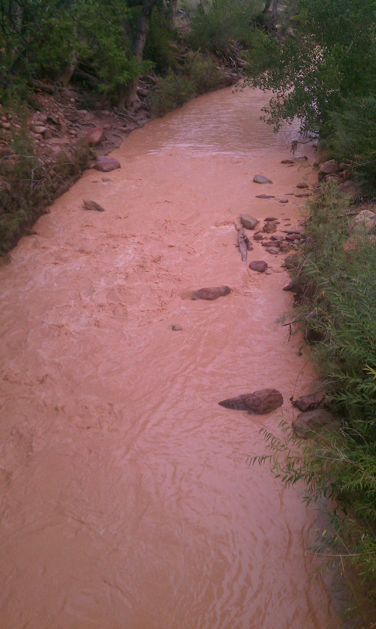 2012 September Red Muddy Virgin River near the Zion Park Entrance