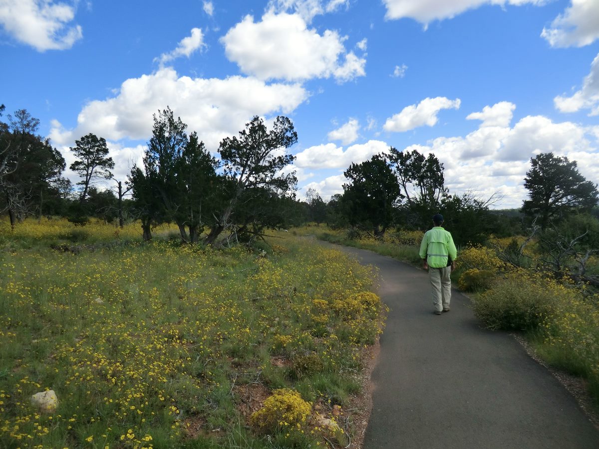 2012 September Walnut Canyon Rim Trail