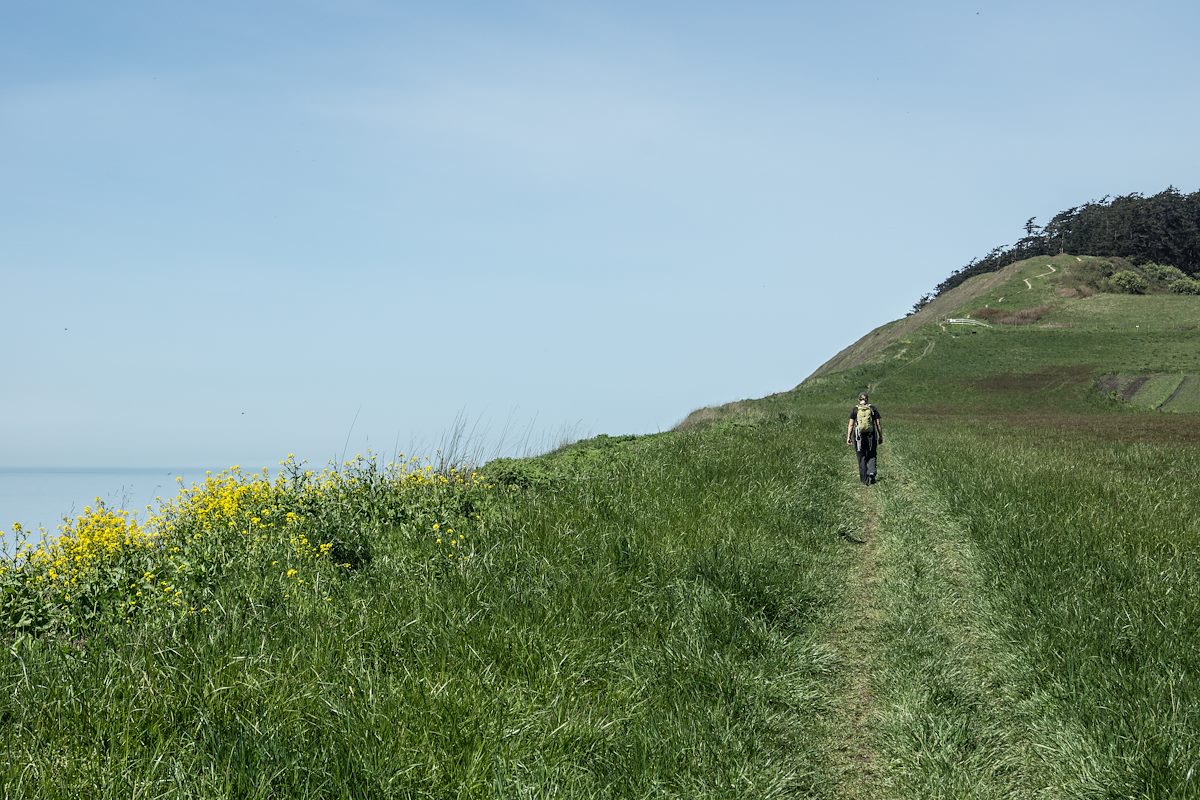 2013 April Bluff Trail at Ebey's Landing