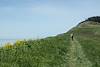 2013 April Bluff Trail at Ebey's Landing