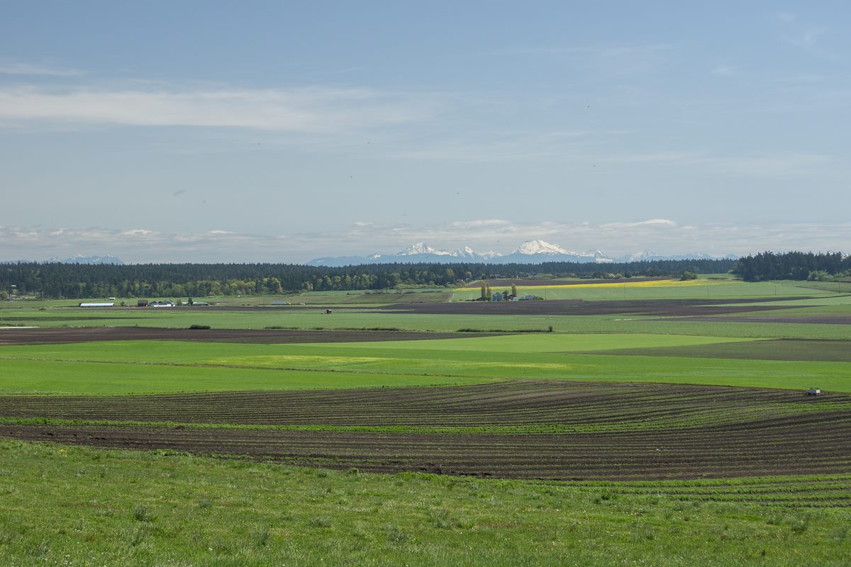 2013 April Prairie and Mountains