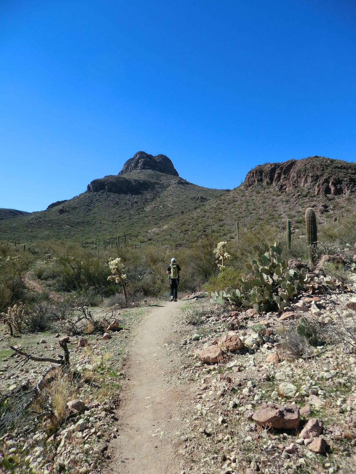 2013 February Hiking towards Sombrero Peak