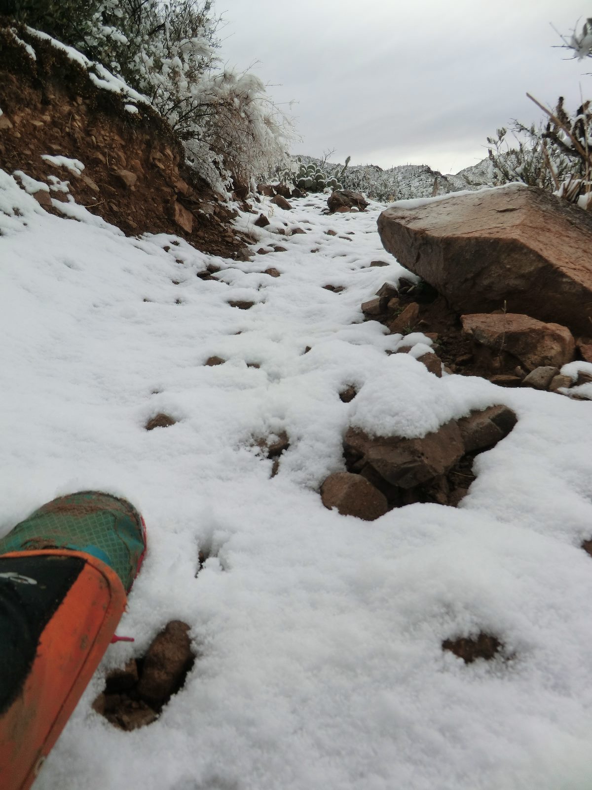 2013 February Snowy Sweetwater Trail