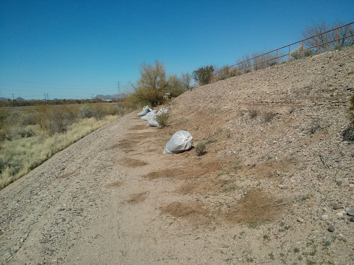 2013 February Sweetwater Wetlands After Buffelgrass Removal