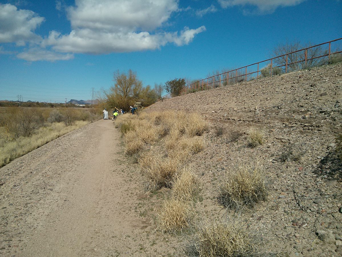 2013 February Sweetwater Wetlands Buffelgrass Before Starting Work