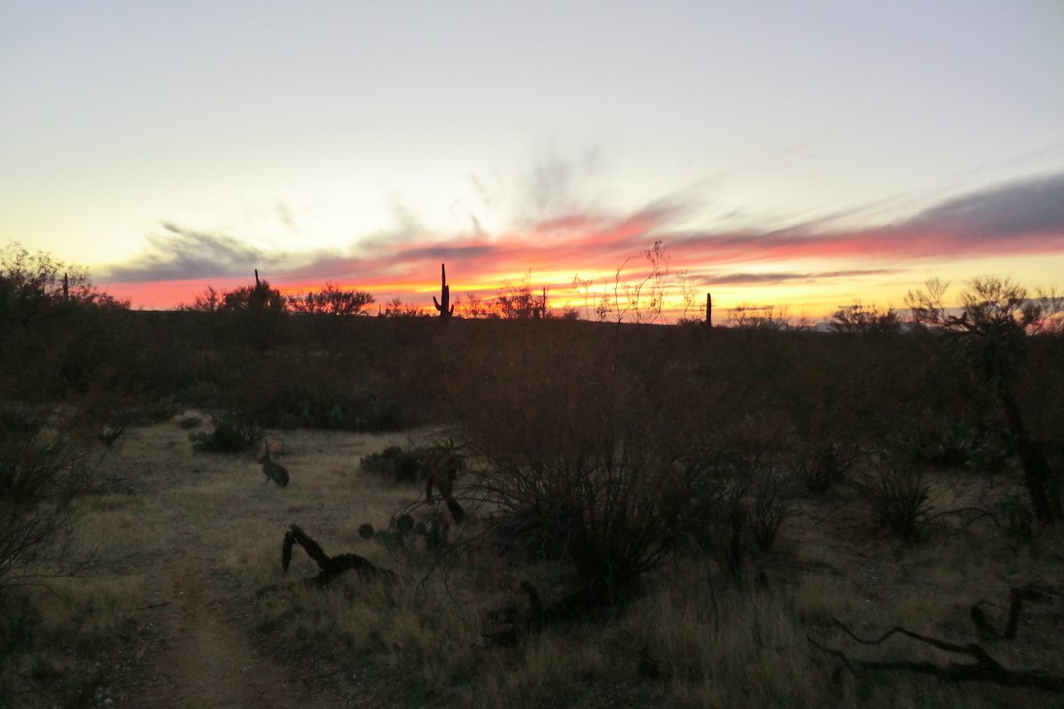 2013 January Jackrabbit and Sunset