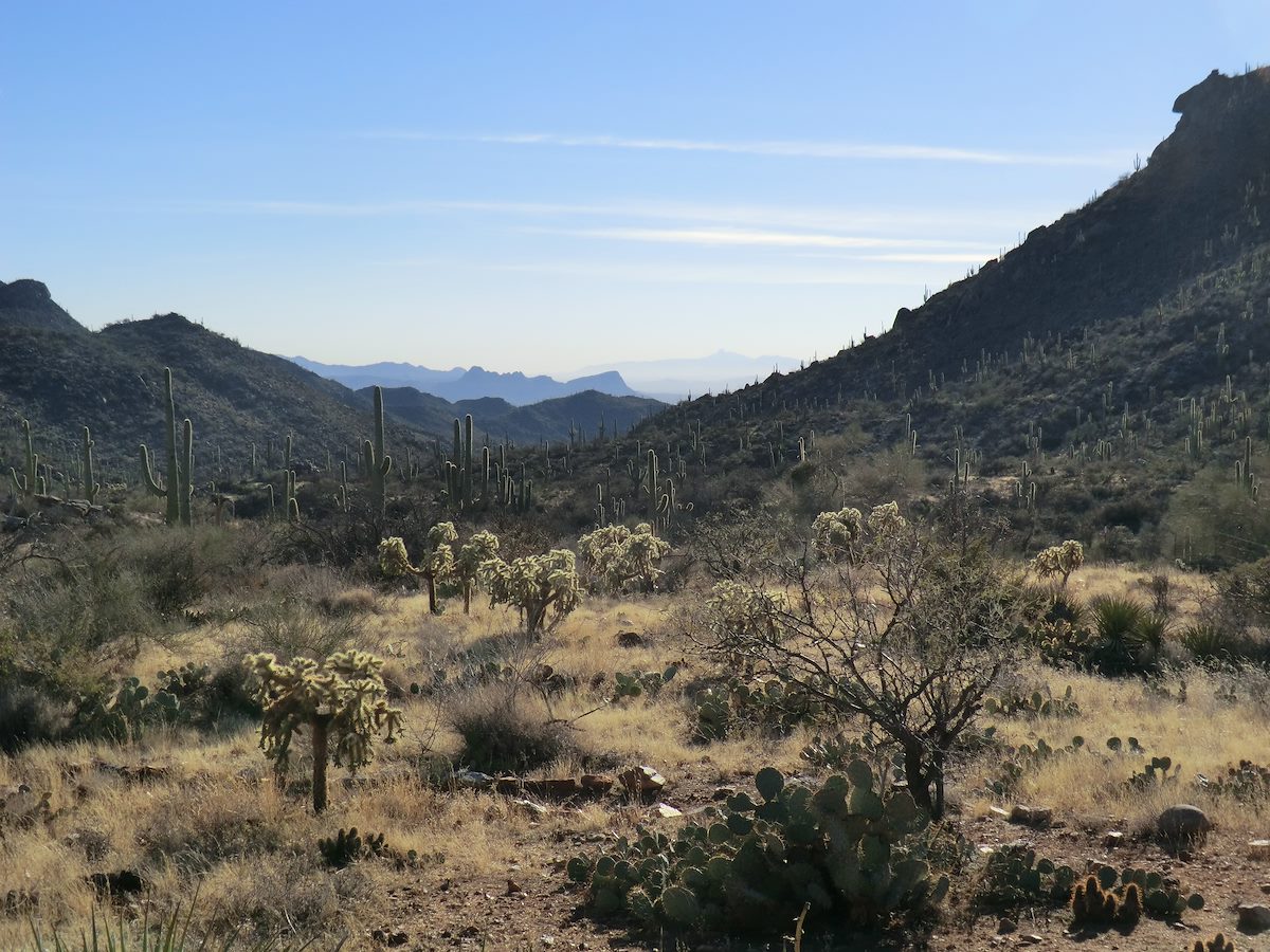 2013 January Looking towards Safford and Panther Peak