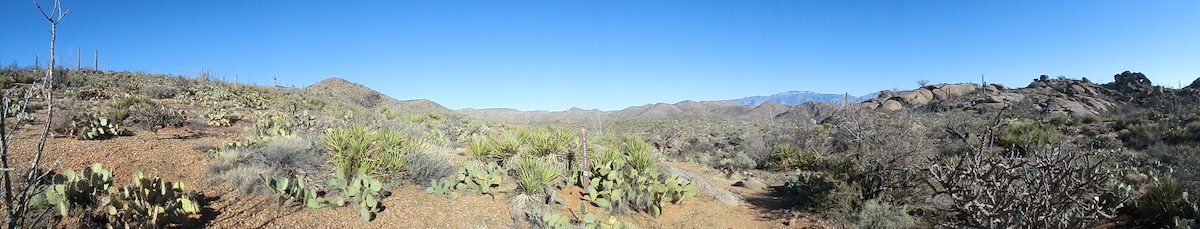 2013 January Wild Mustang Trail