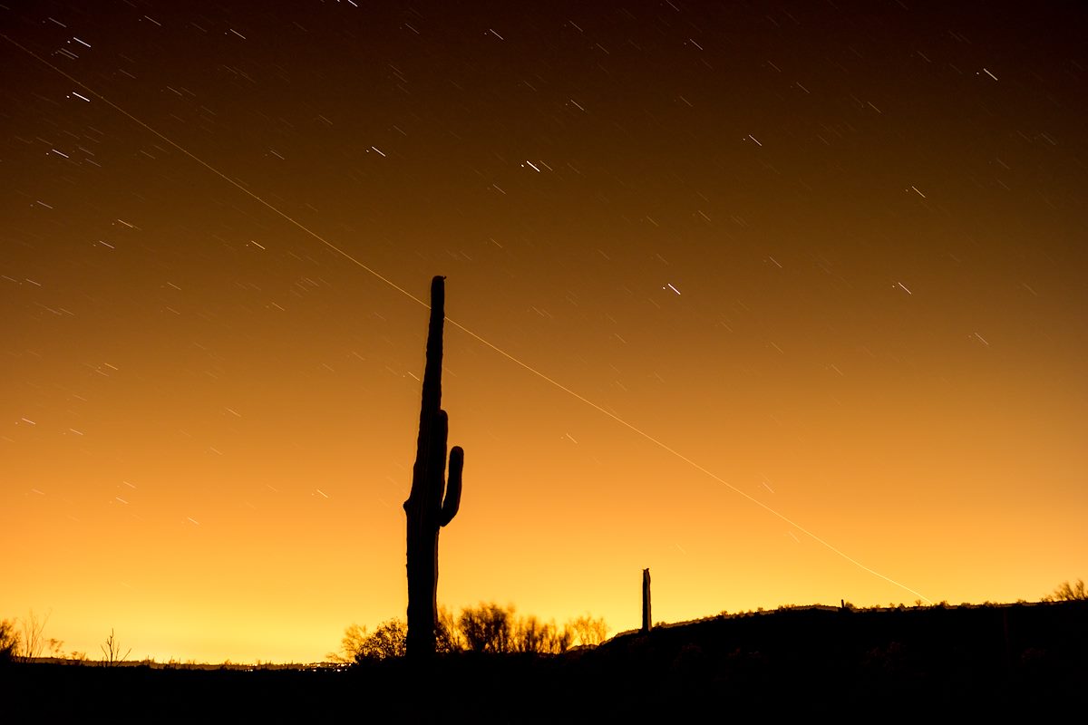 2013 June Saguaro and Stars