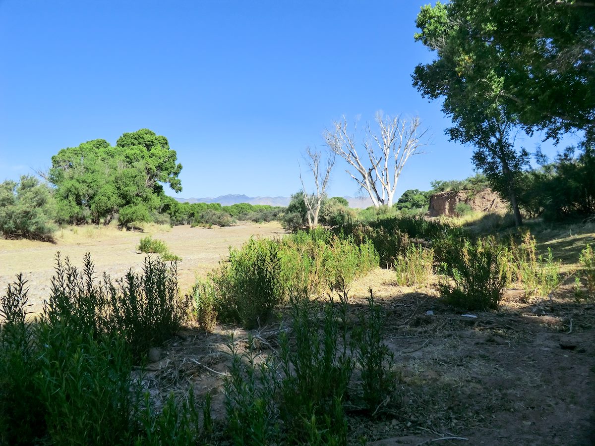 2013 June Shade and Dry River near Contention