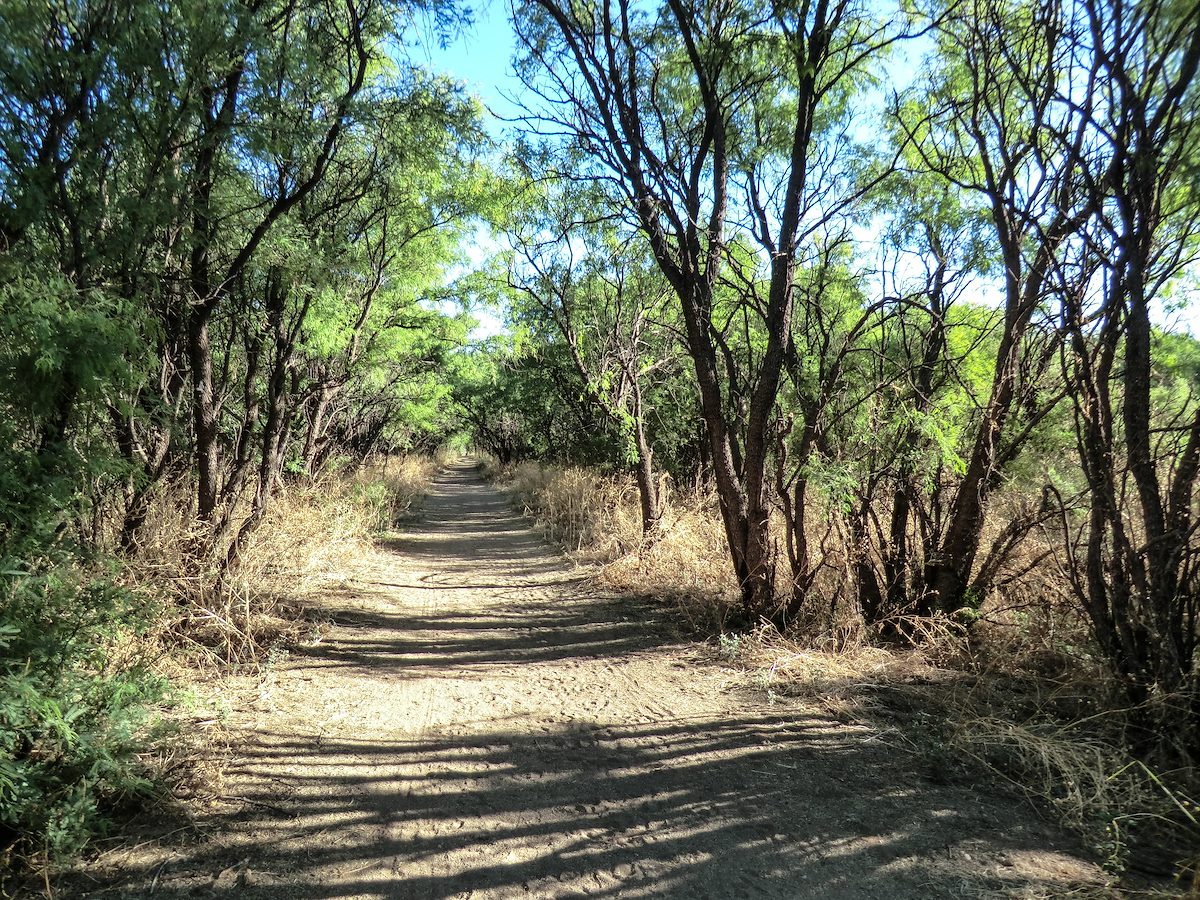 2013 June The San Pedro Trail near Fairbank