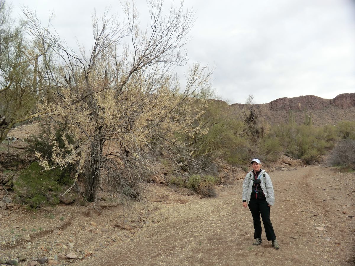 2013 March Alison in Panther Wash