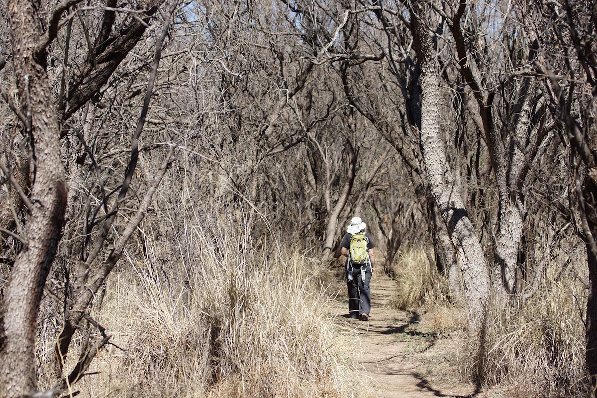 2013 March Alison in the Patagonia-Sonoita Creek Preserve