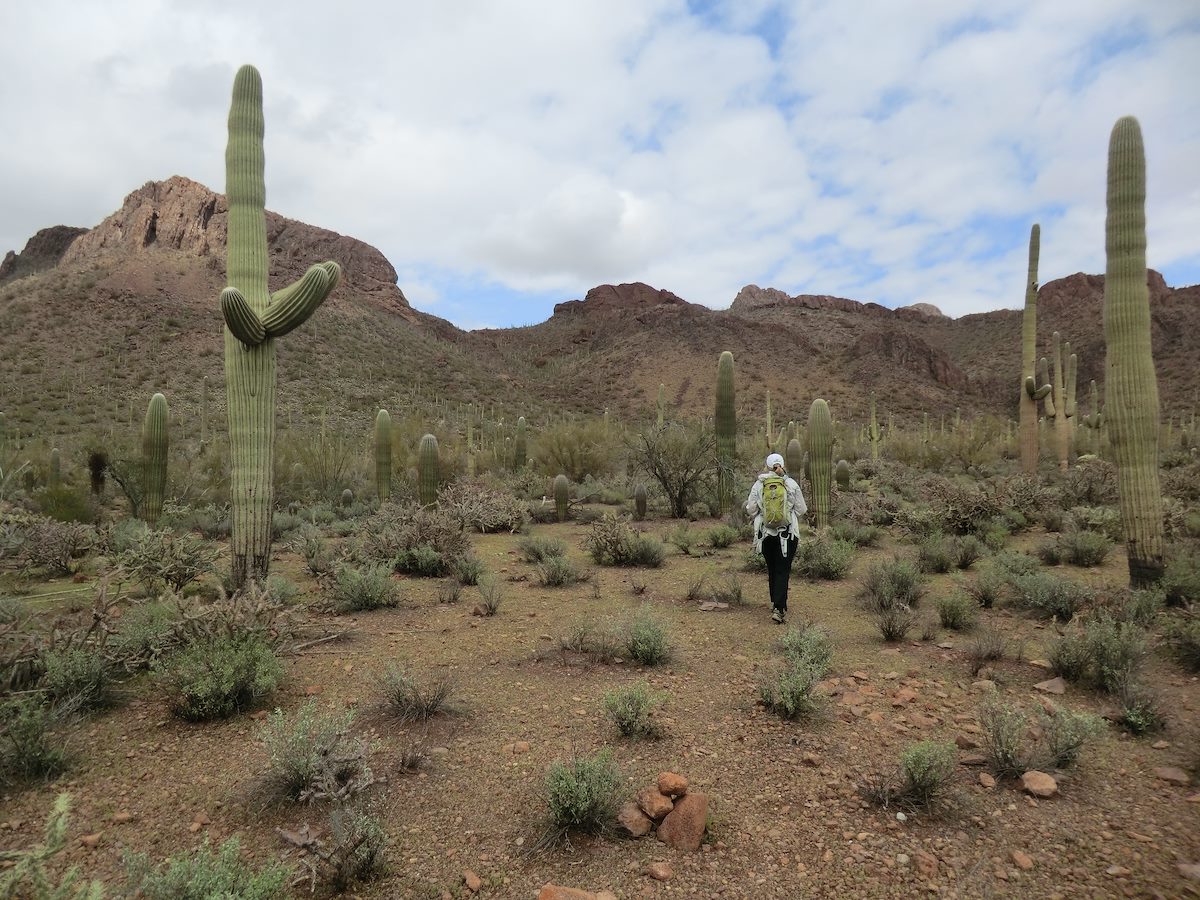 2013 March Following a faint trail across the desert