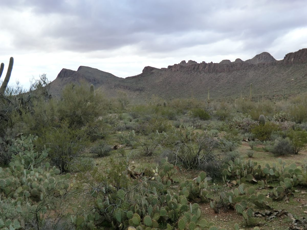 2013 March Panther Peak in the distance