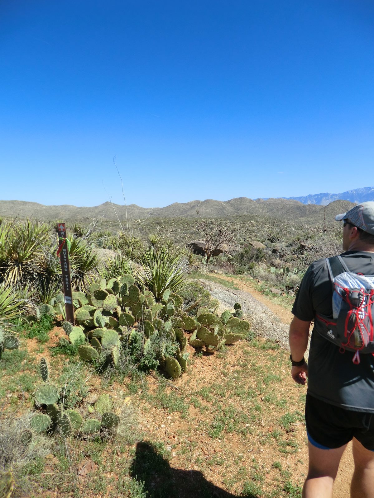 2013 March Richard on the Wild Mustang Trail