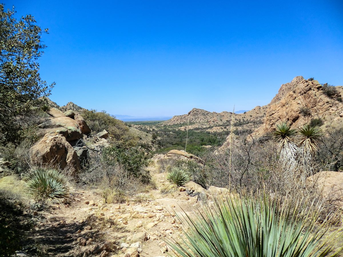 2013 May Overlooking the Lower Section of the Slavin Gulch Trail