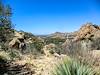 2013 May Overlooking the Lower Section of the Slavin Gulch Trail