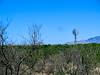 2013 May Windmill near the San Pedro River