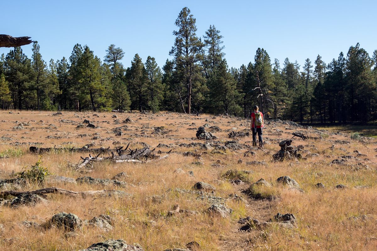 2013 October Near Pomeroy Tanks