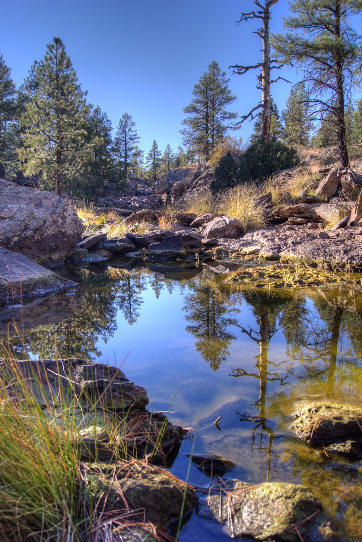 2013 October Pomeroy Tanks