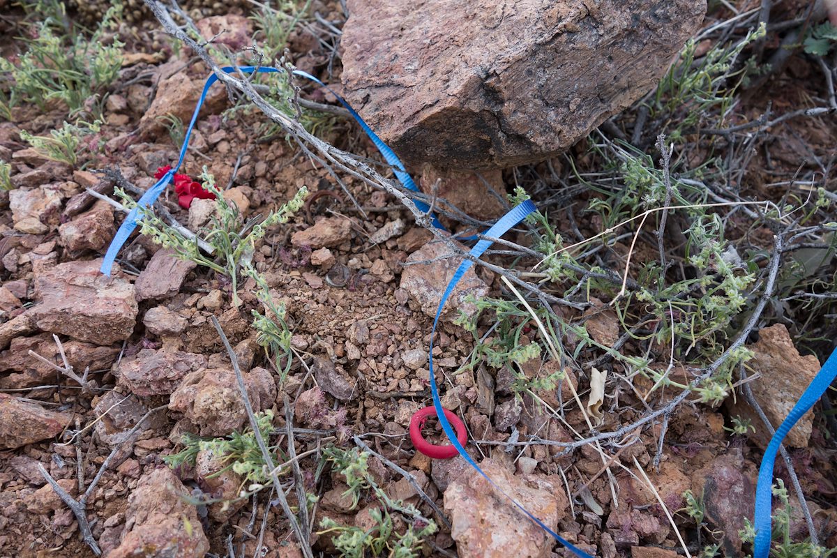 2014 February Balloon on the sloped below the Cat Mountain Ridge