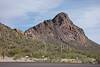 2014 February Cat Mountain from the Sarasota Trailhead