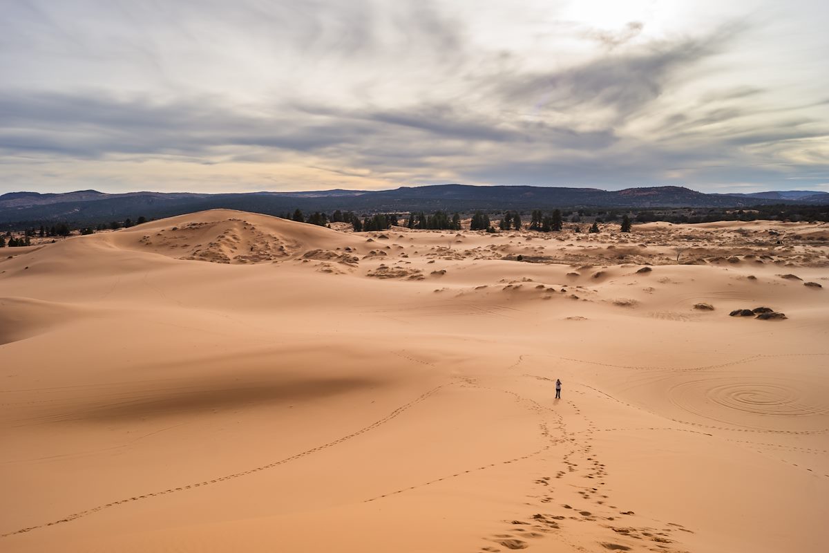 2014 February Coral Pink Sand Dunes