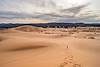 2014 February Coral Pink Sand Dunes