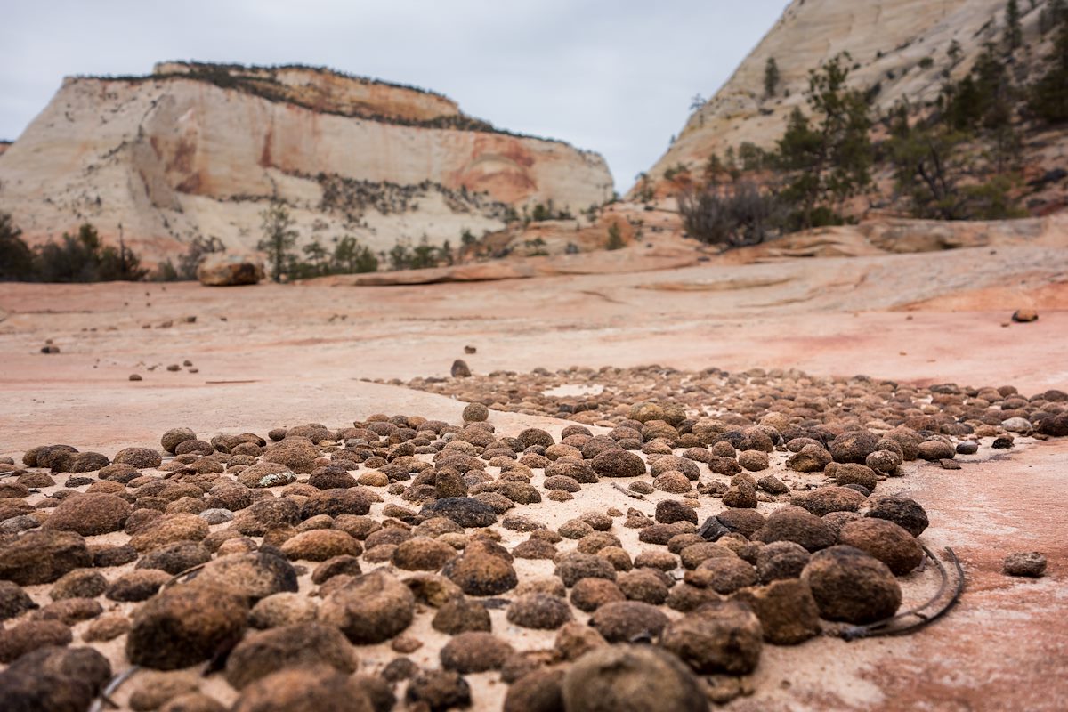 2014 February Pebbles in Separation Canyon