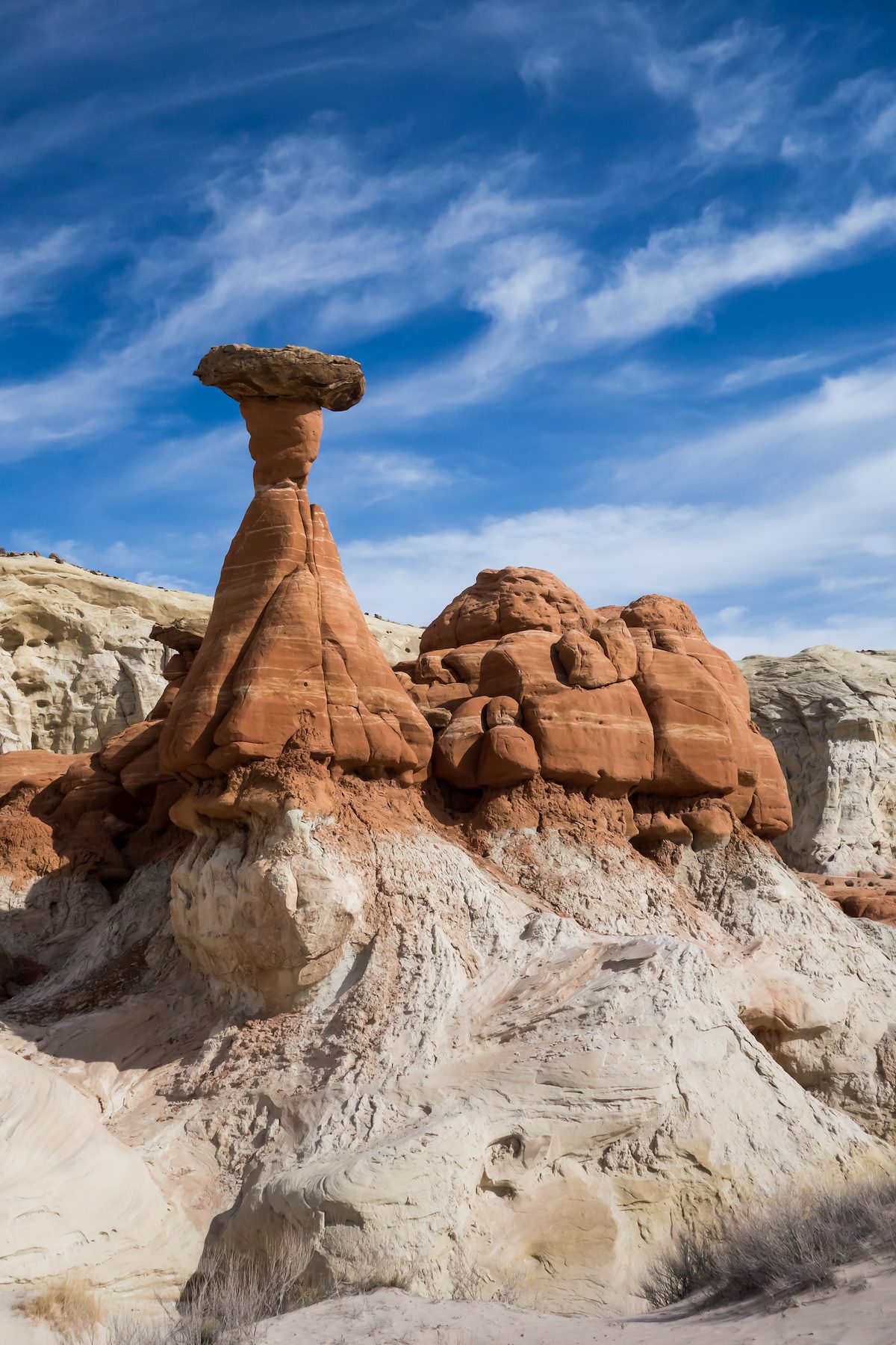 2014 February Toadstool 1