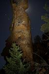 2014 February Under Devils Bridge with the Moon Behind