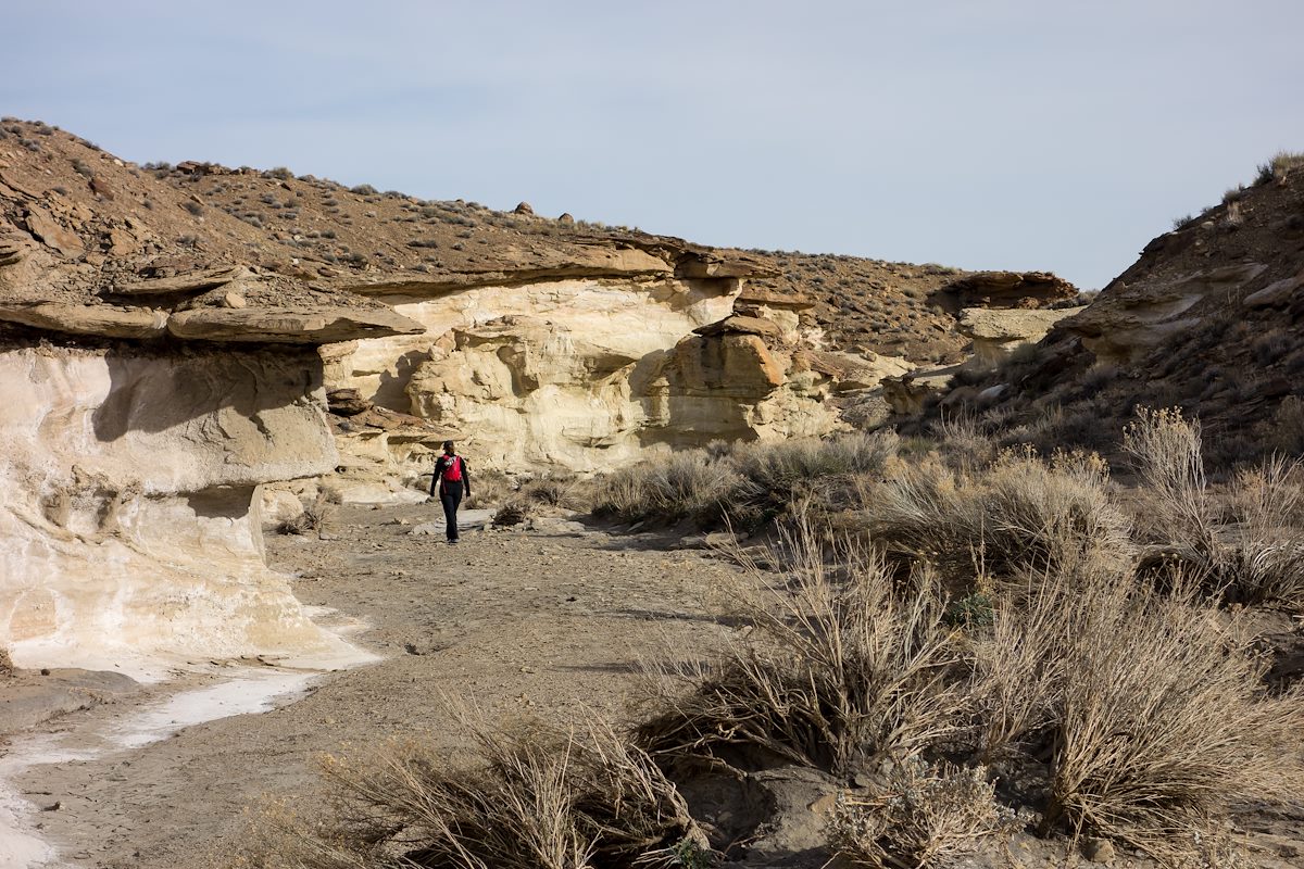 2014 February Upper section of Wiregrass Canyon