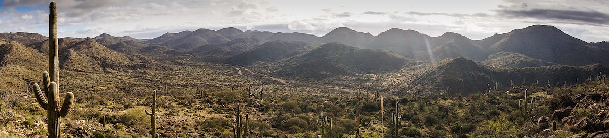 2014 February Wild Burro Canyon from the Wild Mustang Trail