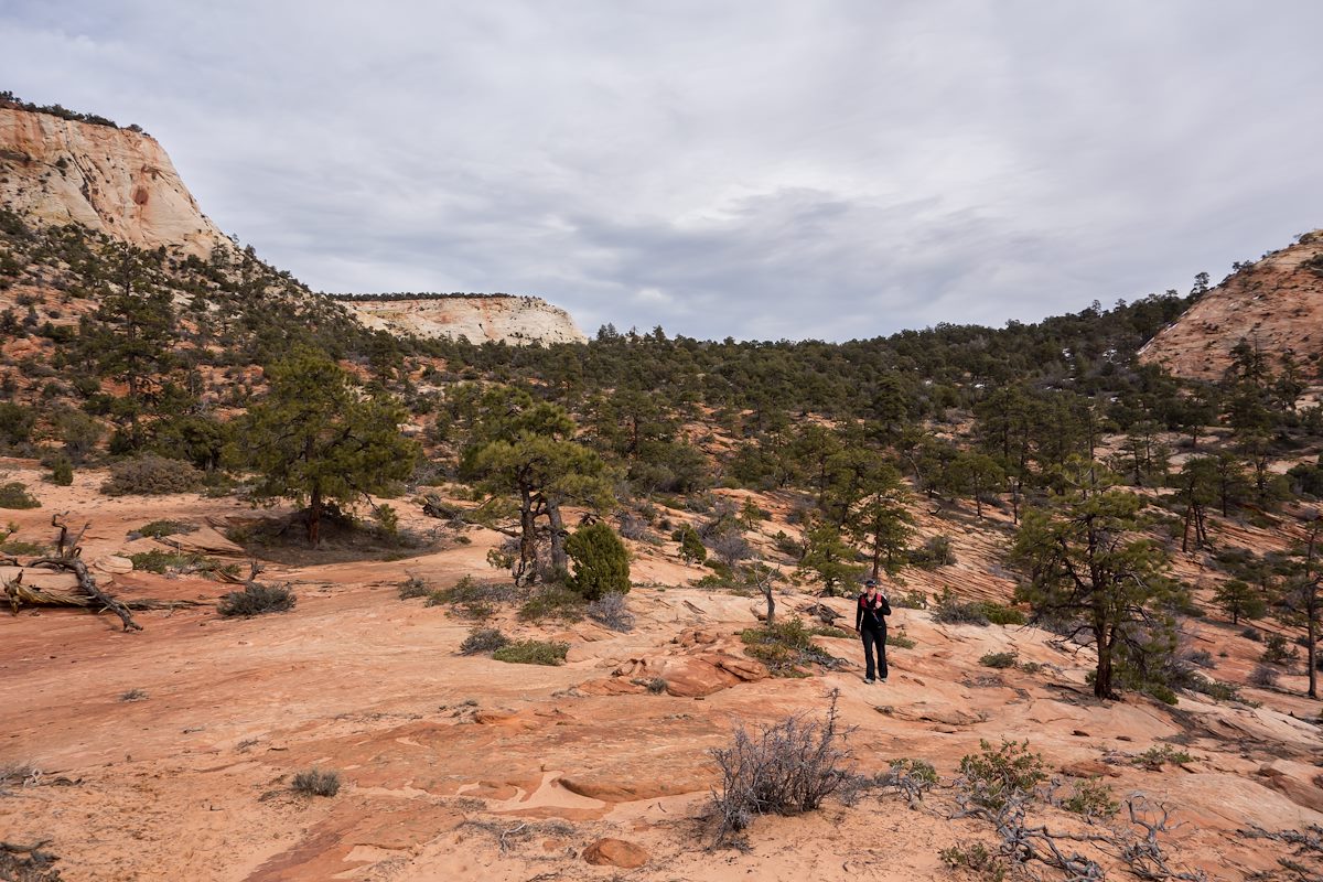 2014 February Working over to Separation Canyon