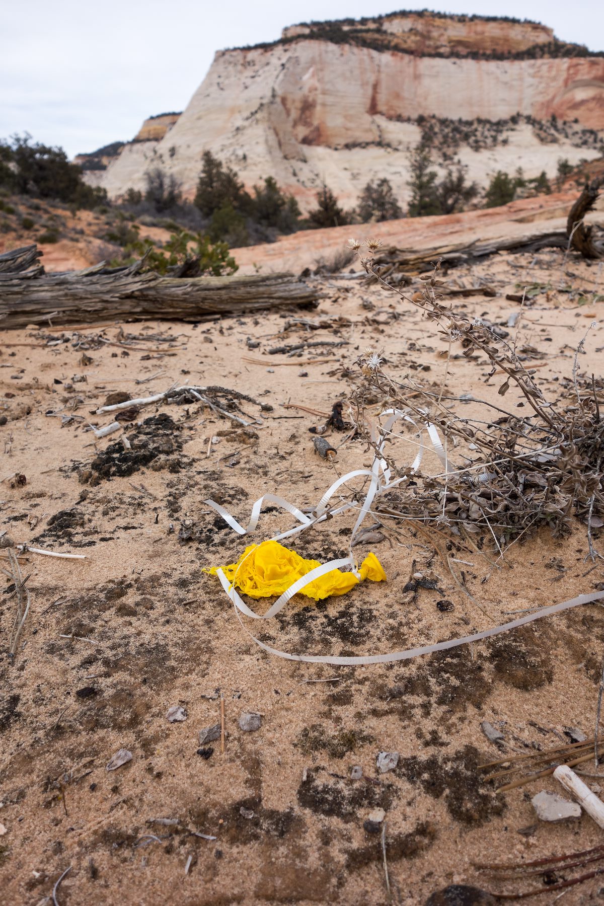 2014 February Zion Backcountry Balloon