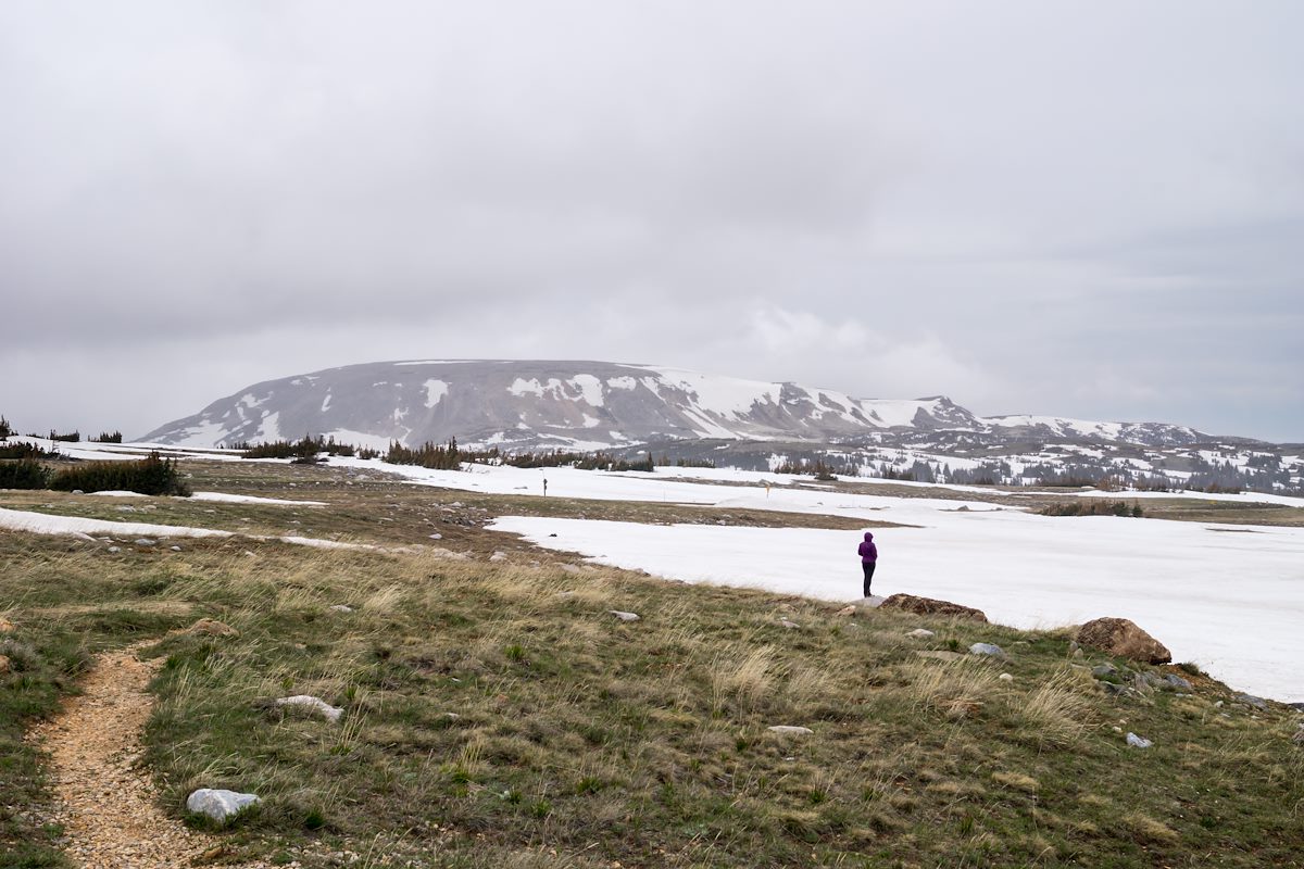 2014 June Medicine Bow Peak in the background