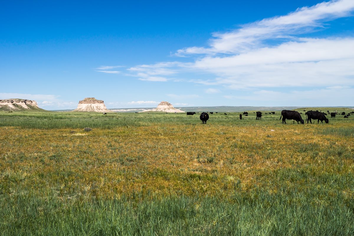 2014 June Pawnee Buttes