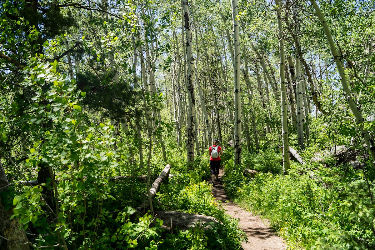 2014 June Starting the Turtle Rock Trail