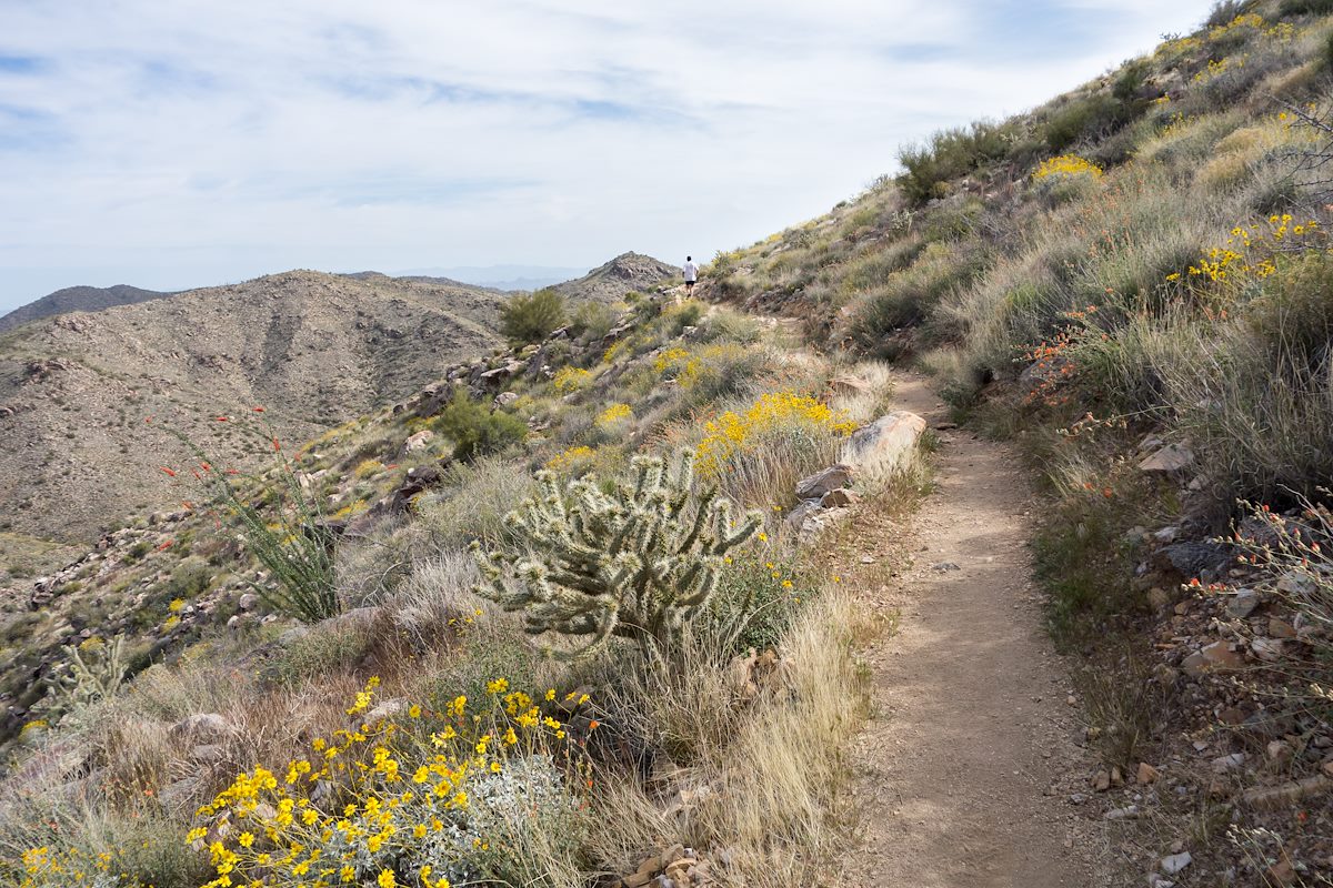 2014 March Beautiful Trail on the Mesquite Canyon Half Marathon Course