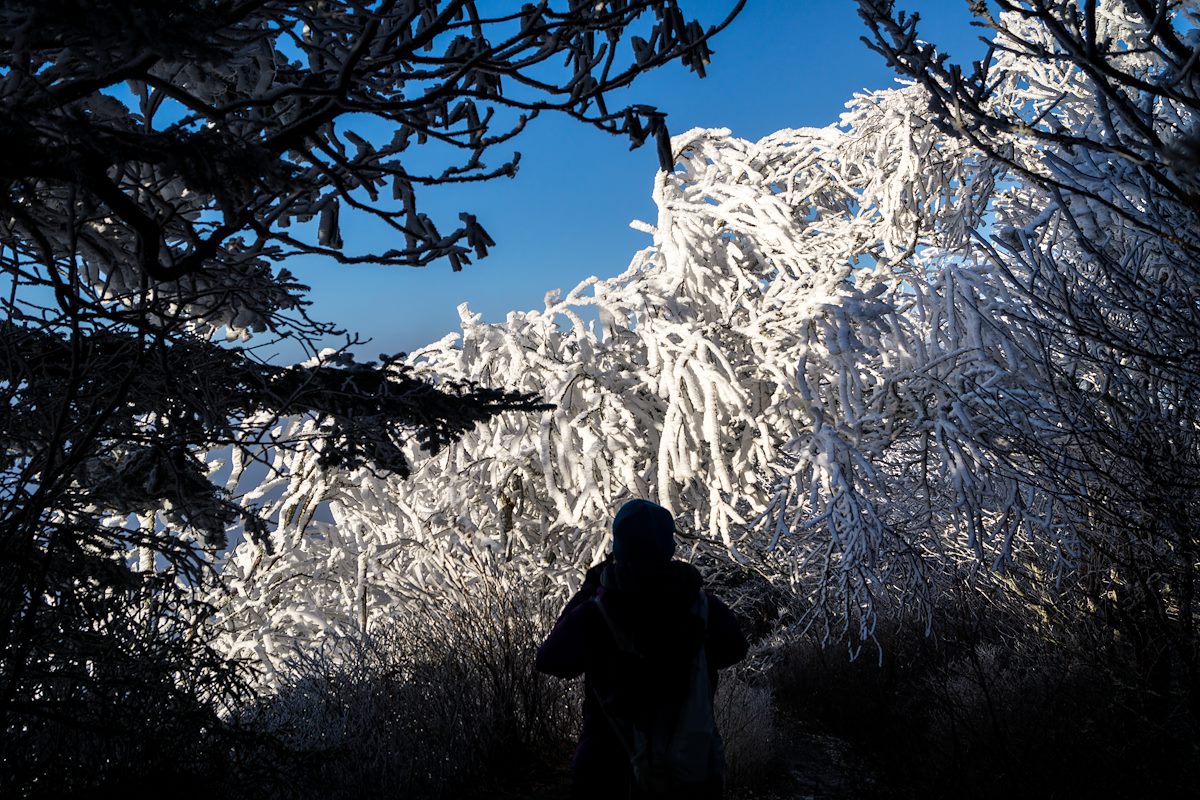 2014 November Alison on the Appalachian Trail