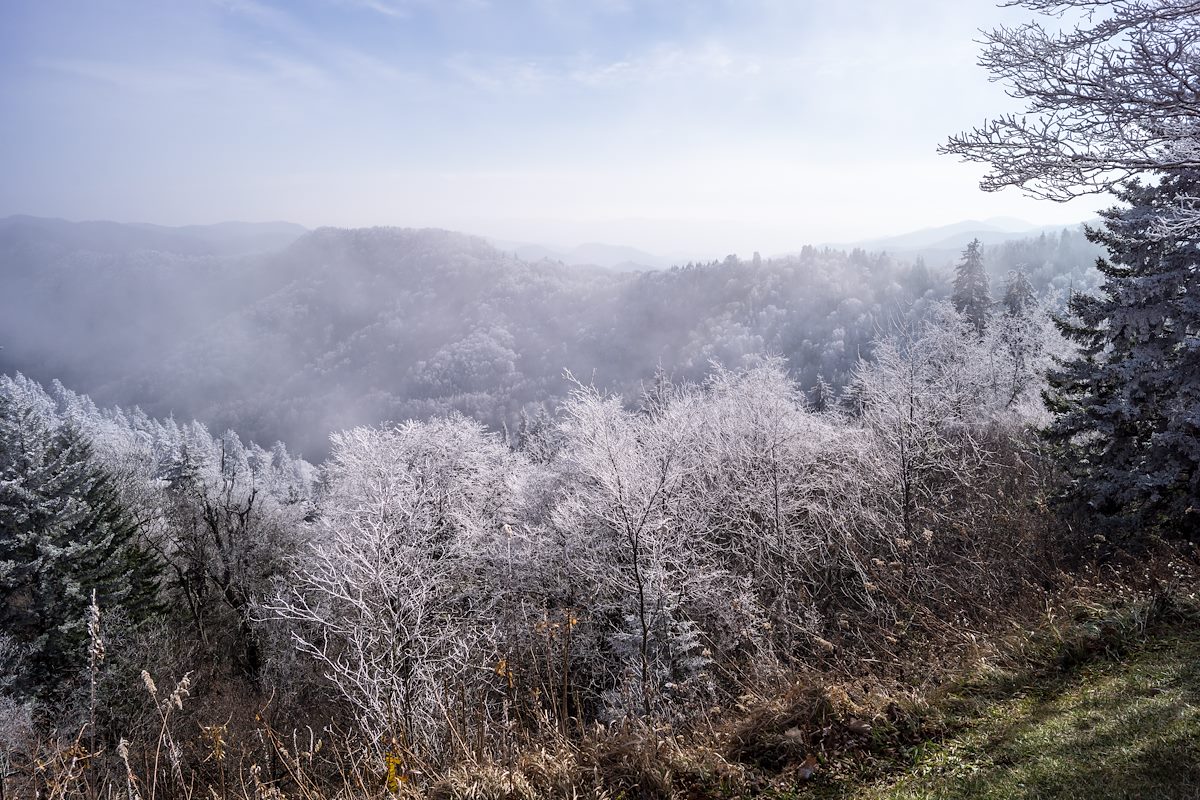 2014 November Newfound Gap