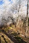 2014 November Snow on the Appalachian Trail