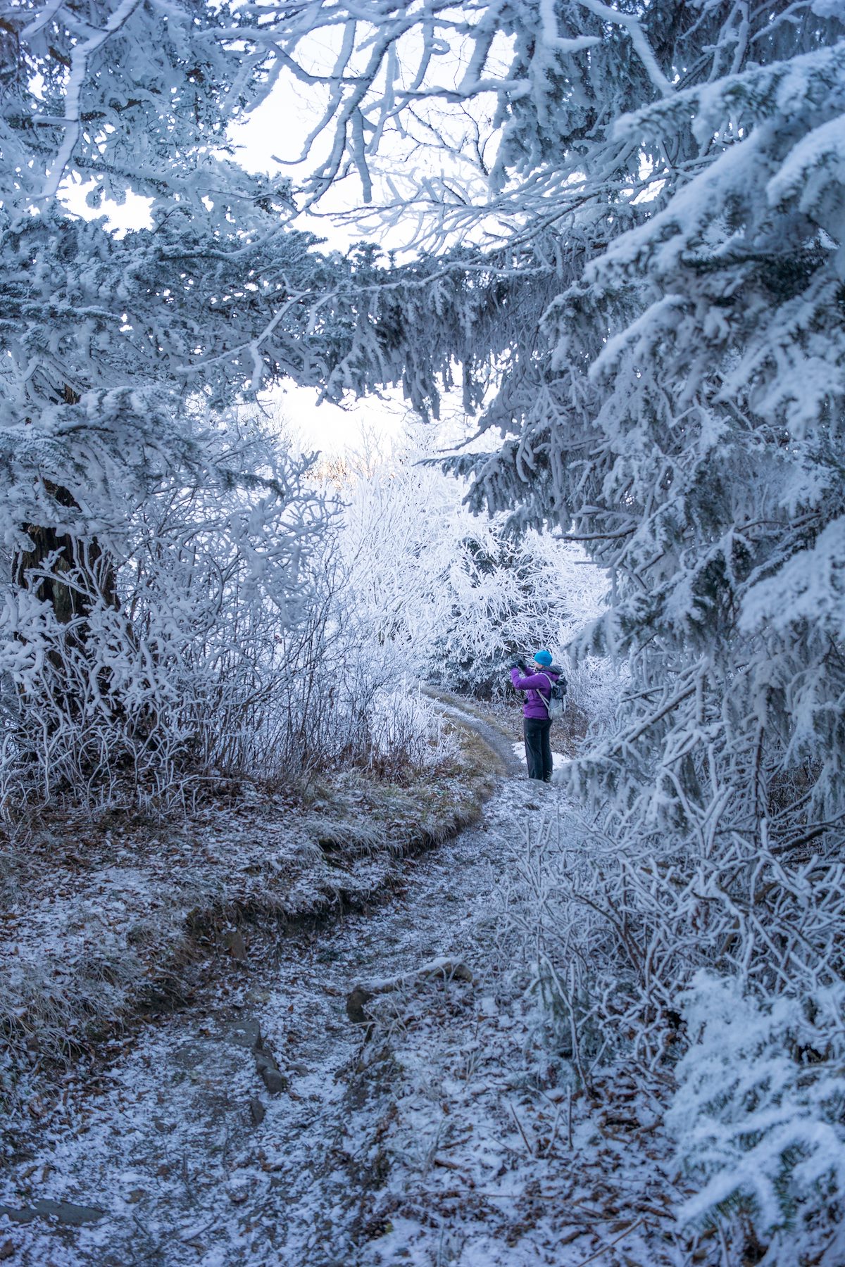 2014 November Winter near Charlies Bunion