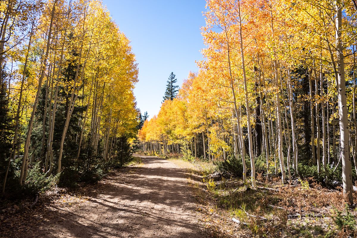 2014 October Leaving Timp Point